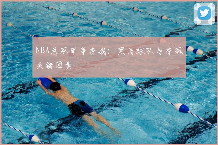NBA总冠军争夺战：黑马球队与夺冠关键因素